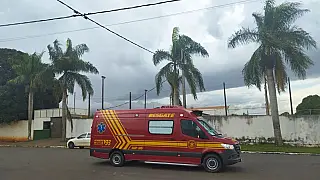 Mãe e bebê de 1 ano são atacadas por enxame de abelhas a caminho de padaria