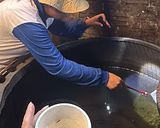 Estado amplia apoio no combate à chikungunya