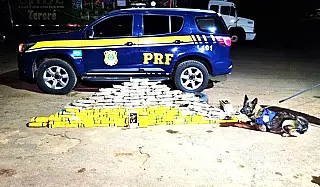 PRF apreende 124 quilos de cocaína em caminhão
