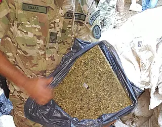 Polícia destroi plantação de maconha no Paraguai