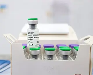 Municípios recebem doses da vacina contra dengue