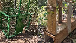 Homem é multado em R$ 140 mil por manter armadilhas de caça