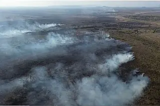 Governo federal decreta emergência em 11 cidades de MS devido aos incêndios florestais
