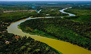 Projeto pretende ampliar proteção ao Pantanal