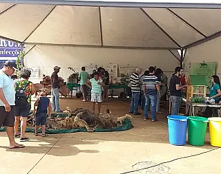 Imam promove ações do Dia do Meio Ambiente na Praça