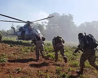 Operação elimina mais de 1.200 toneladas de maconha na fronteira
