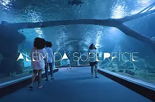 Filme vence premiação em Festival Internacional