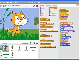 Linguagem de programação impulsiona aprendizado e insere escola no mundo digital
