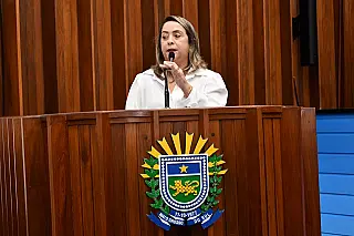 Lia Nogueira pede unidade dos Bombeiros