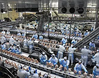 Novos 838 postos de trabalho no Estado