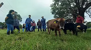 Agraer abre concurso com 123 vagas em Mato Grosso do Sul