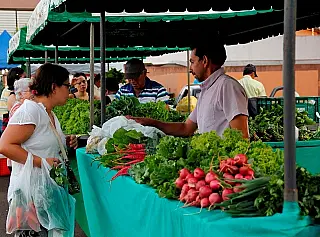 Tecnofam apresenta conhecimentos e novas tecnologias da agricultura familiar