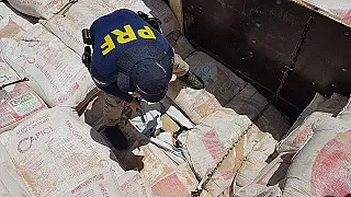 PRF apreende 800 quilos de droga diariamente nas rodovias que liga Mato Grosso do Sul ao Rio de Jane