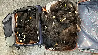 PRF apreende 12 sacolas carregadas com cabelo humano em MS; 4º caso em dois meses