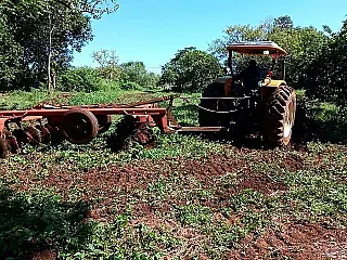 Imigrantes venezuelanos ganham apoio para produzir hortaliças em Dourados