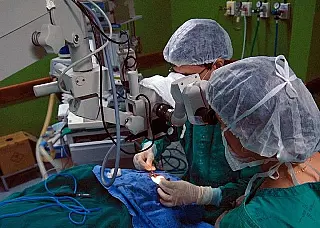 Medicamentos para transplantados estão disponíveis no SUS