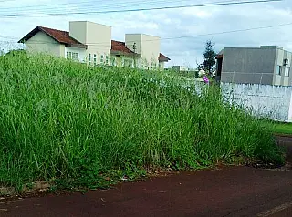 Prefeitura prorroga prazo para limpeza de terrenos baldios