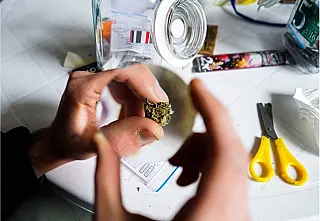 Custando US$ 1,30 o grama, maconha começa a ser vendida em farmácias no Uruguai