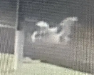 Polícia 'caça' ladrão do cofre com R$ 100 mil