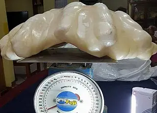 Pescador guardava pérola de R$ 320 milhões embaixo da cama