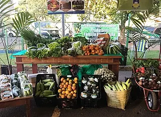 Prefeitura mostra estande de produtos orgânicos em festival de Gastronomia