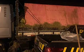 PRF apreende 16 toneladas de maconha em carga de melancia