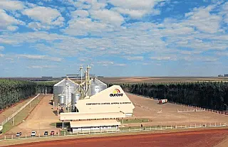 Cooperativa Aurora inaugura unidade armazenadora no norte do Estado
