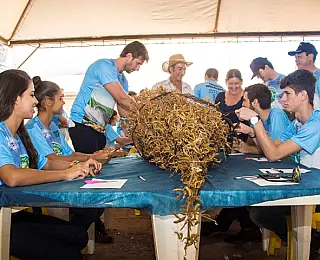 Acadêmicos da Unigran participaram de Juri em concurso de pé de soja