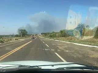 Incêndio consumiu plantação de eucalipto de fazenda que foi alvo da Operação Greenfield