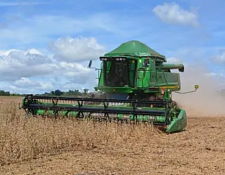 Teor de umidade dos grãos define qualidade e preço do produto em safra recorde