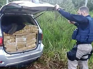 Jovem é preso com veículo roubado transportando uma tonelada de maconha na BR-060