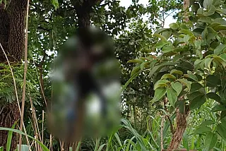 Homem é encontrado morto com corpo amarrado em árvore