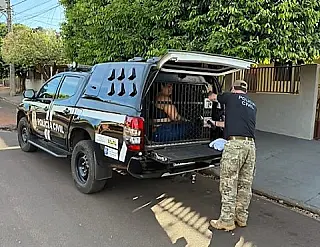 Polícia prende quadrilha ligada a golpe do falso advogado