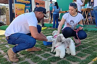 Campanha de Vacinação Antirrábica começa nesta segunda-feira