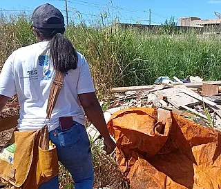 Boletim reforça necessidade de ação imediata contra Aedes