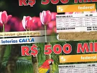 Aposta de Três Lagoas fatura R$ 500mil com bilhete premiado