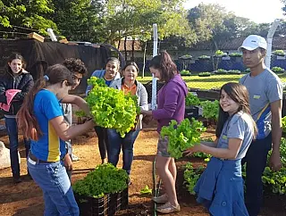 Alunos de escola da Macaúba já festejam sucesso de projeto Horta