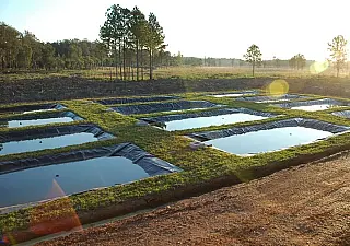 Simpósio discute políticas para a piscicultura na Expoagro