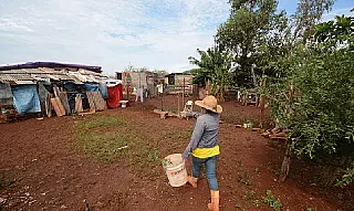 Autorização para cadastro individual no CAR é analisado pela Comissão da Agricultura
