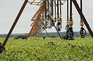 Em Mato Grosso do Sul produção de soja pode cair de 8% a 10%