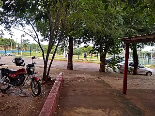 Usuários de patinetes disputam espaço com carros
