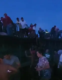 Carreta com porcos tomba e 150 pessoas 'saqueiam' carga viva