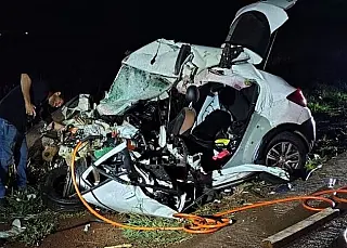 Animal na pista provoca acidente com duas mortes