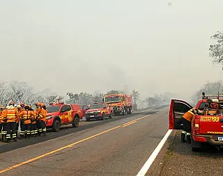 Governo se antecipa à temporada de incêndios no Pantanal