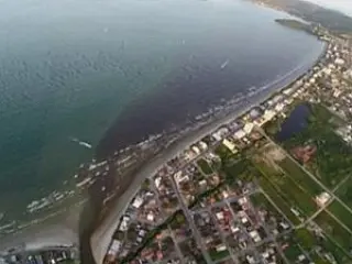 Mancha preta interdita praia do Perequê em Santa Catarina