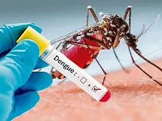 Mato Grosso do Sul registra 15.351 casos confirmados de dengue
