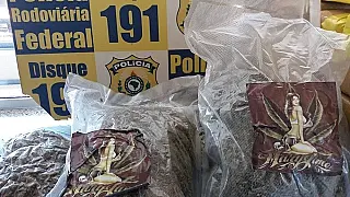 Homem é preso transportando 'supermaconha' em Mato Grosso do Sul