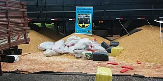 Homem é preso transportando 1.660 quilos de maconha em carga de milho