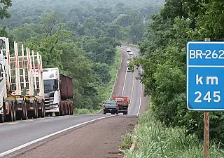 Rodovias da "rota da celulose' vão a leilão