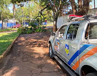 Balanço de atendimentos